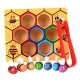 Montessori Wooden Carrot Harvesting & Sorting Game