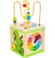 Garden Minibeasts Wooden Sensory Activity Cube