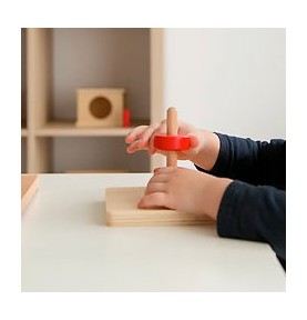 Montessori Vertical Dowel & Chunky Wooden Discs - Overview - Montessori Toy