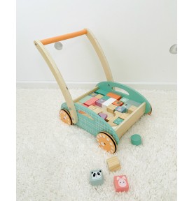 Pastel Baby Push Walker with Wooden Blocks