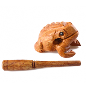 Carved Wooden Guiro Frog Musical Rasp - Overview of Montessori learning set