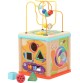 Garden Minibeasts Wooden Sensory Motor Skills Cube