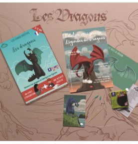 DIY Clay Dragon Modelling Craft Activity Kit - Montessori Educational Toy