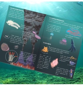 Deep Sea Angler Fish Creative Papercraft Activity Kit - Close-up on Quality & Finish