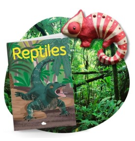Reptiles & Amphibians Hands-On Craft Activity Kit - Montessori Educational Toy