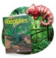 Reptiles & Amphibians Paper Mâché Chameleon Craft Kit