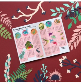 Reptiles & Amphibians Hands-On Craft Activity Kit - Close-up on Quality & Finish