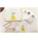 Slime Mould Kit – Sleeping Blob, Petri Dish and Agar