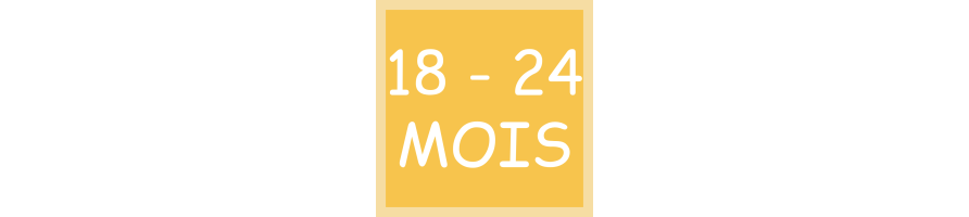 Toddler Toys 18 to 24 Months | Montessori Toys UK