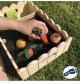 Wooden Vegetable Garden Play Set - View 2