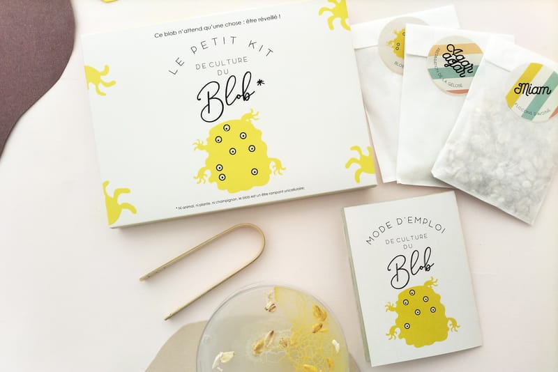 Slime Mould Kit – Sleeping Blob, Petri Dish and Agar - View 3