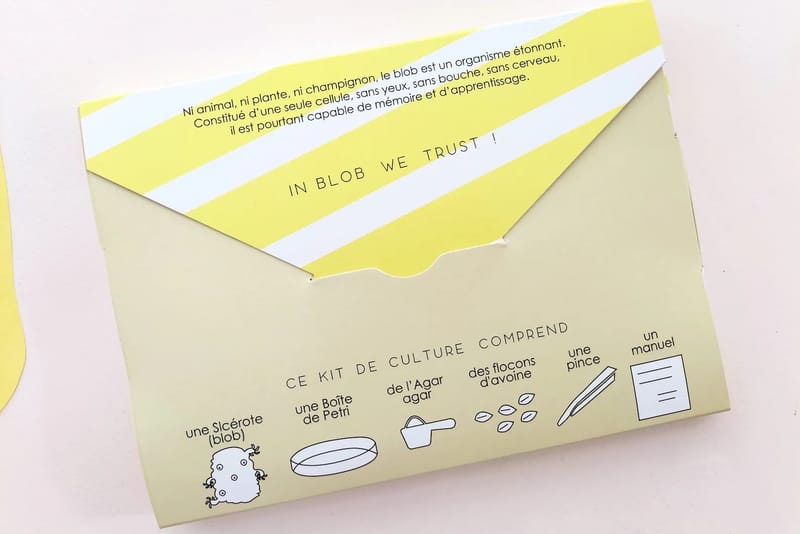 Slime Mould Kit – Sleeping Blob, Petri Dish and Agar - View 4