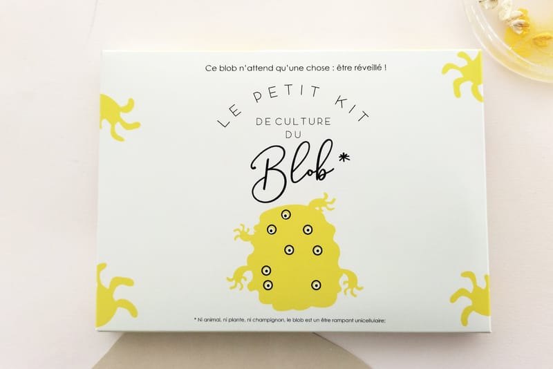 Slime Mould Kit – Sleeping Blob, Petri Dish and Agar - View 6