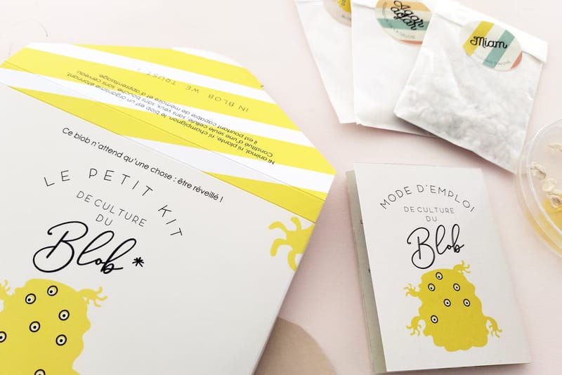 Slime Mould Kit – Sleeping Blob, Petri Dish and Agar - View 8