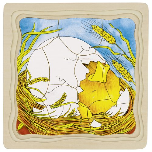 Wooden Chicken Life Cycle Puzzle – Egg to Hen, 4 Layers - View 3